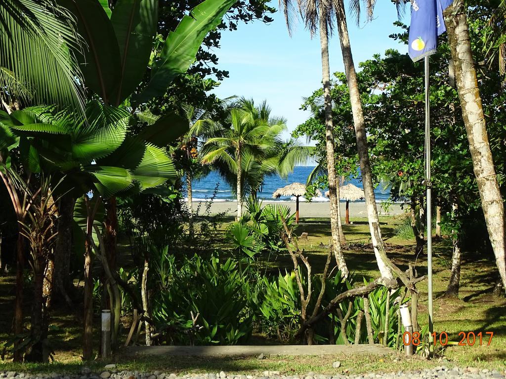 Hotel Caribbean Coconut Cahuita Eksteriør billede