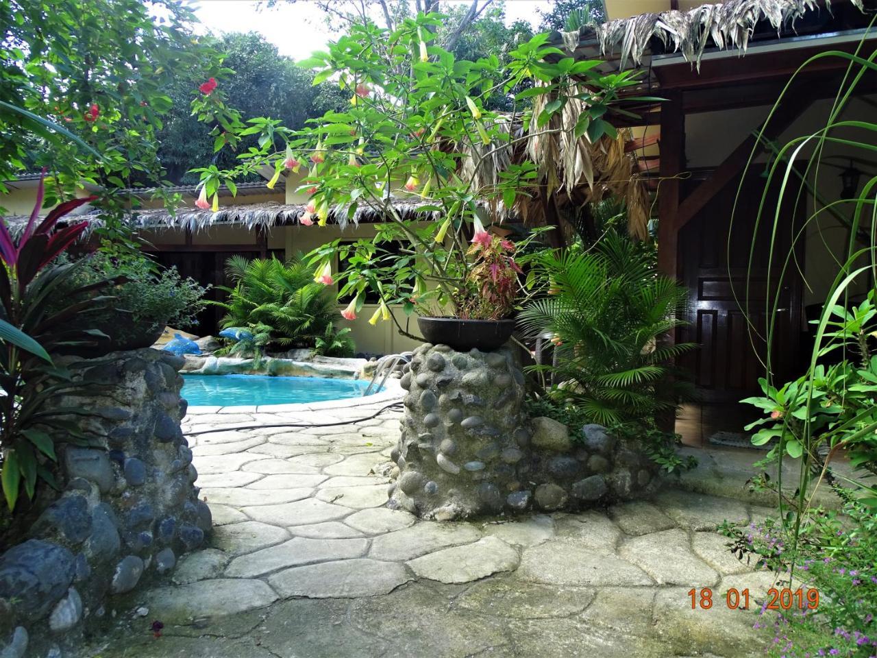 Hotel Caribbean Coconut Cahuita Eksteriør billede