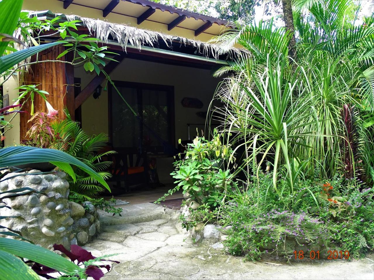 Hotel Caribbean Coconut Cahuita Eksteriør billede
