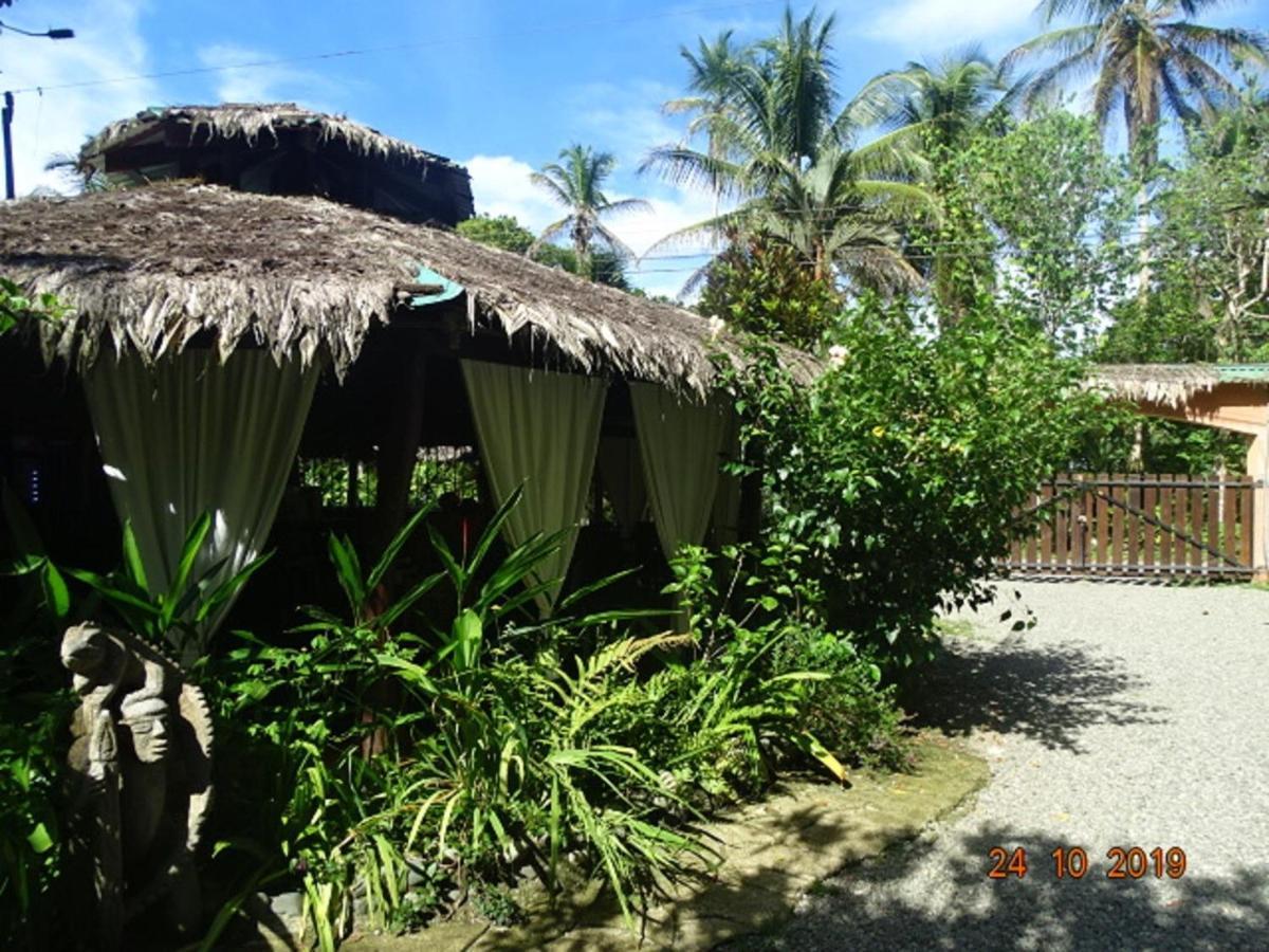 Hotel Caribbean Coconut Cahuita Eksteriør billede